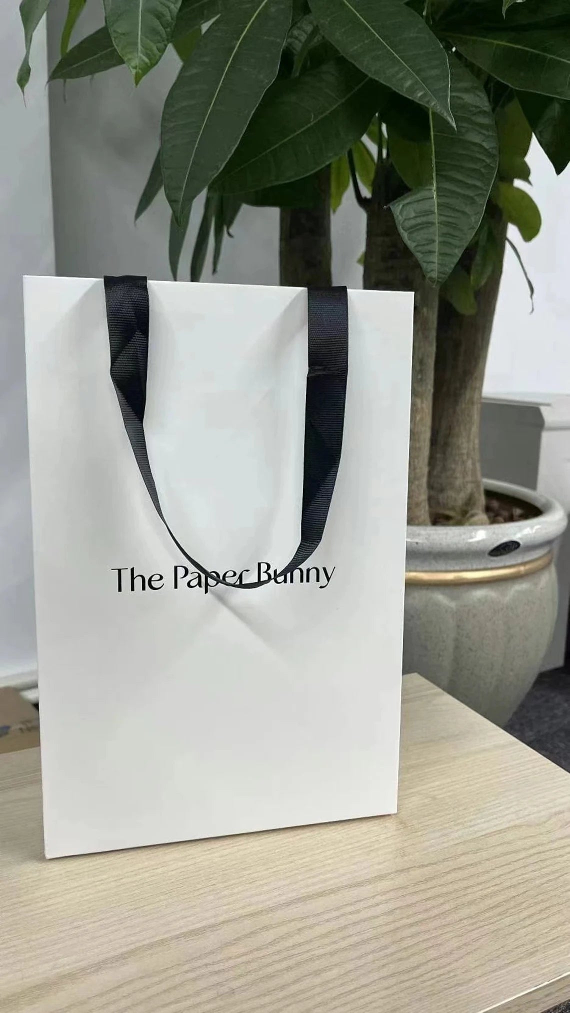 Customized Paper Bag, Personalized High Quality Eco-Friendly Shopping Bag, Jewelry Shopping Bag, Clothes Shopping Bag, Gift bag Cambodia